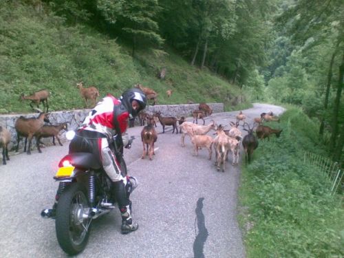 Enduro Motos Anciennes à ISNY IM ALLGAU.