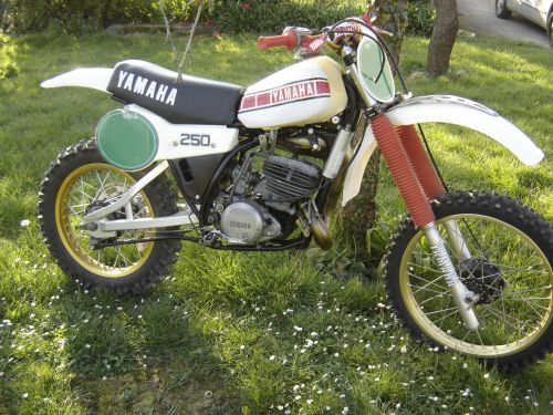Nouvelle achat 250 yz de 81, encore une de plus !