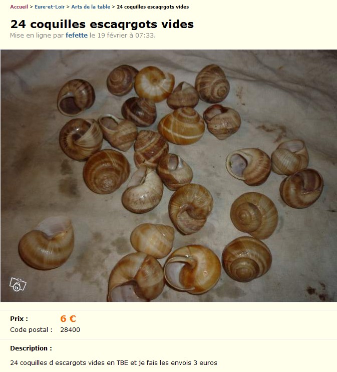 INSOLITE...
