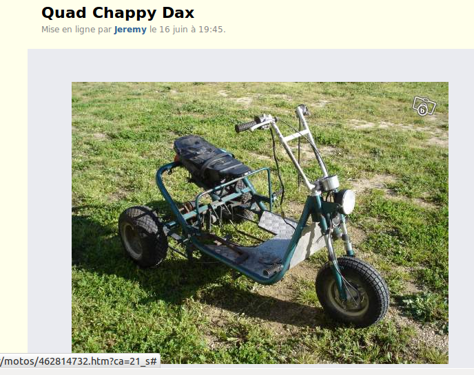INSOLITE...