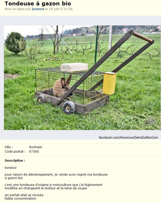 INSOLITE...
