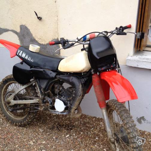INSOLITE...
