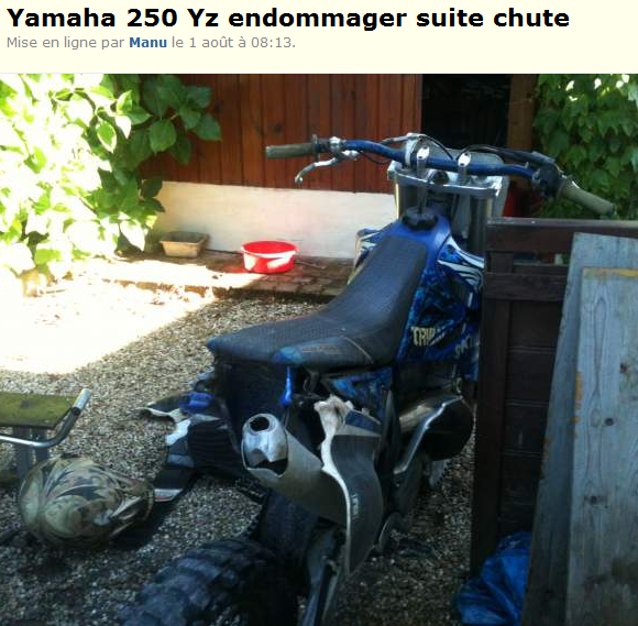 INSOLITE...