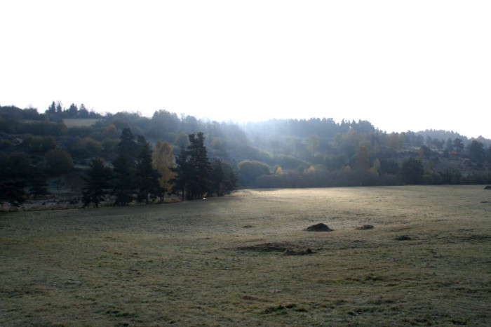 PAYSAGES :