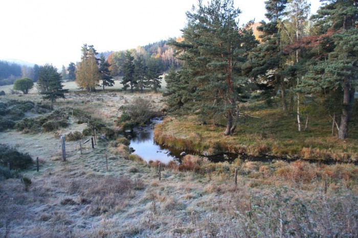 PAYSAGES :
