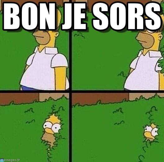 Ligue des Flandres