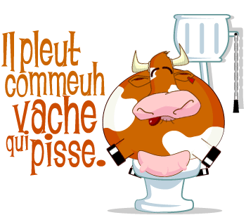 des terrains pour nos vieilles
