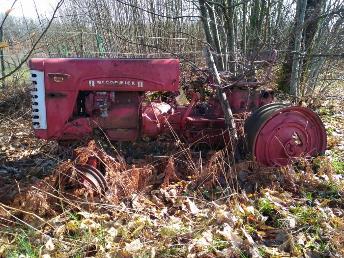 mémoire en friches