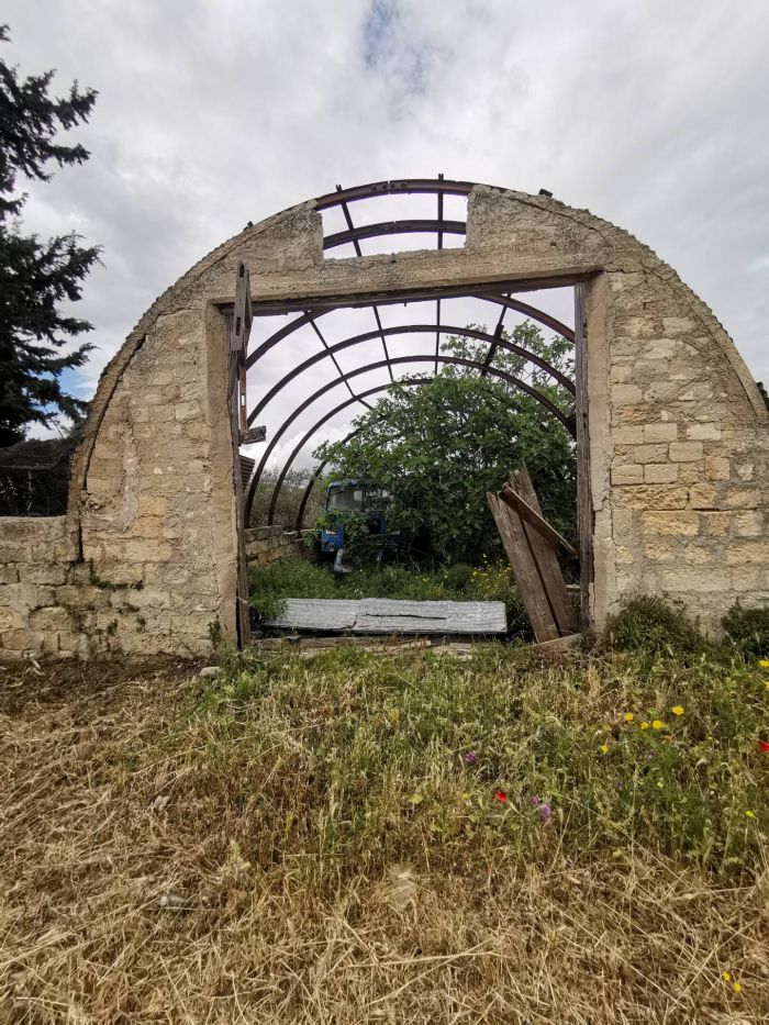 mémoire en friches