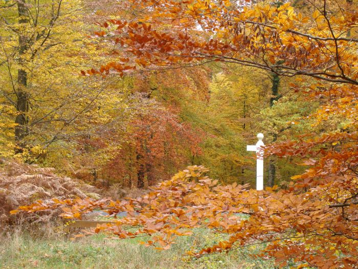 PAYSAGES :