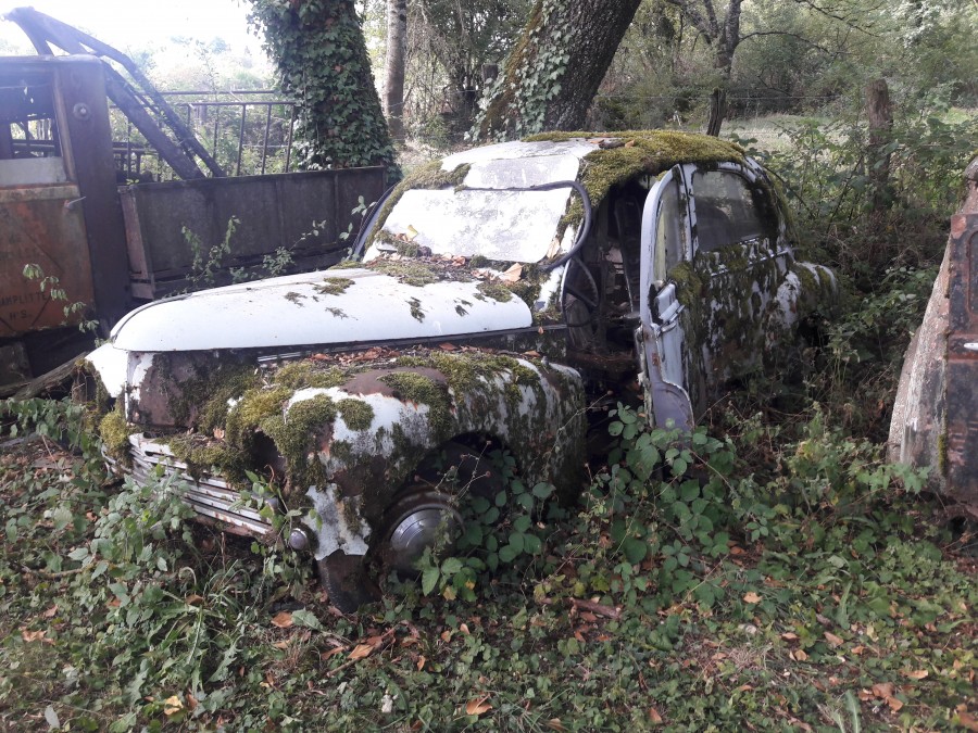 mémoire en friches