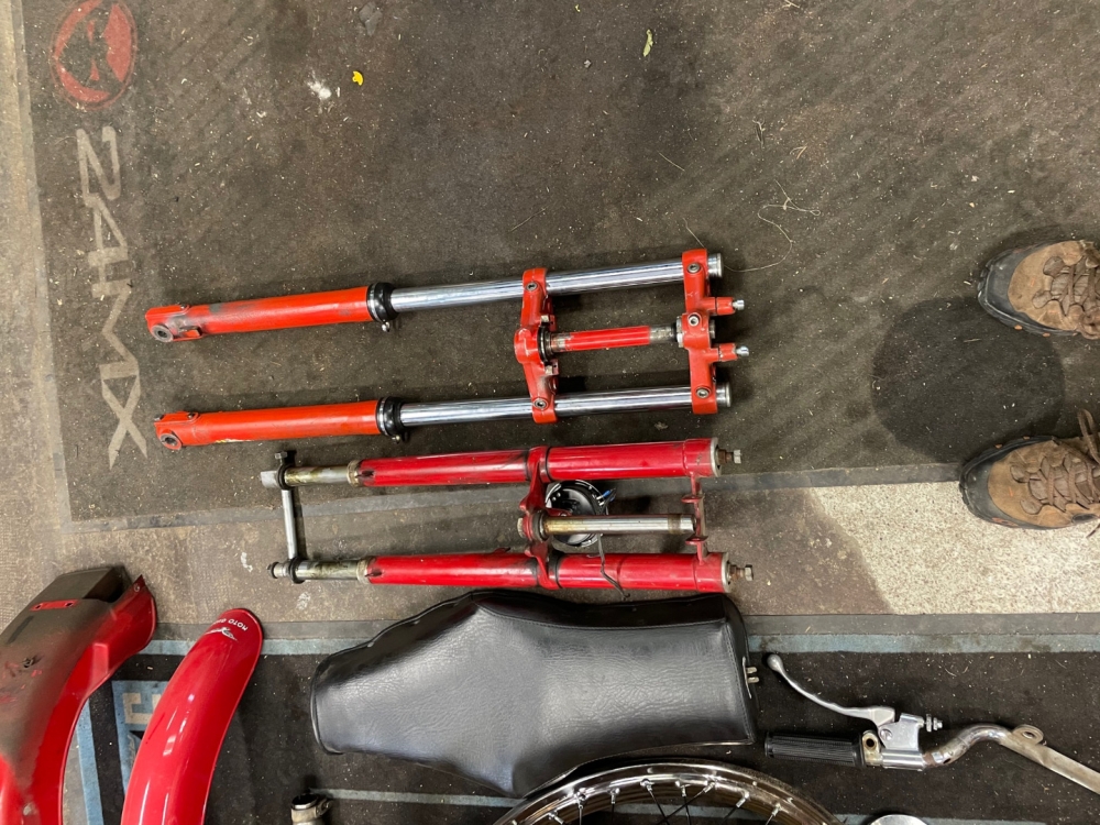GUZZI LODOLA 235 Regolarità 1959 réplica