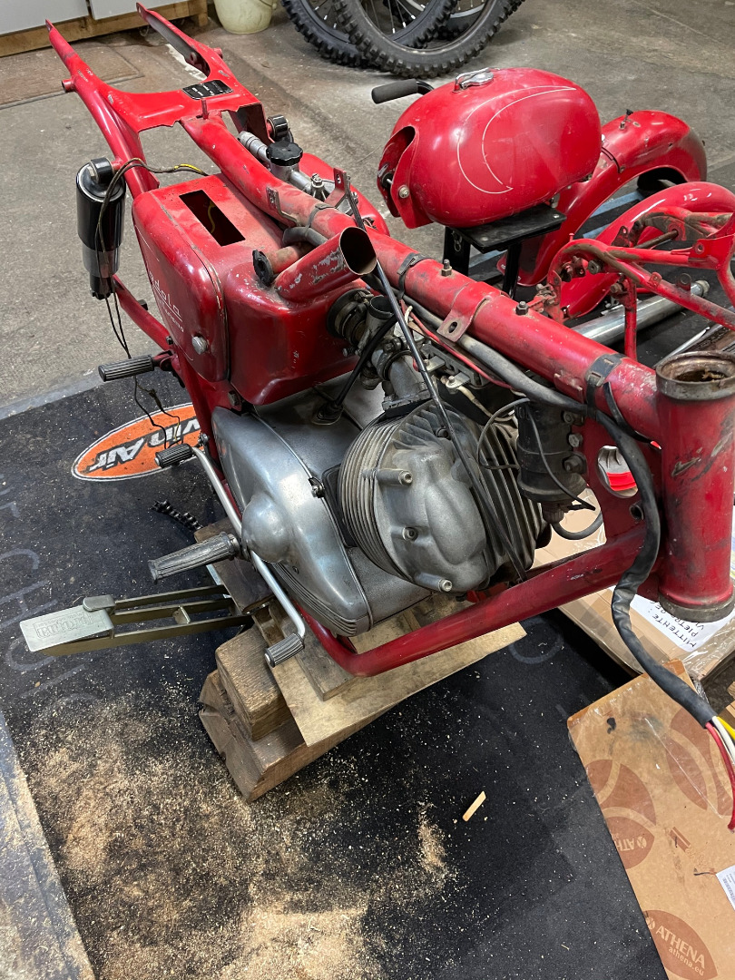 GUZZI LODOLA 235 Regolarità 1959 réplica