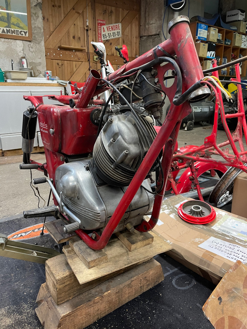 GUZZI LODOLA 235 Regolarità 1959 réplica