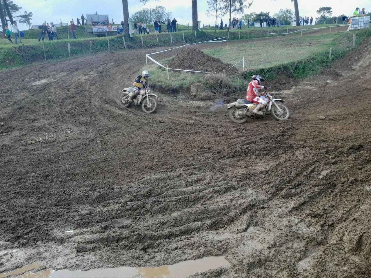 1000002369_122.webp