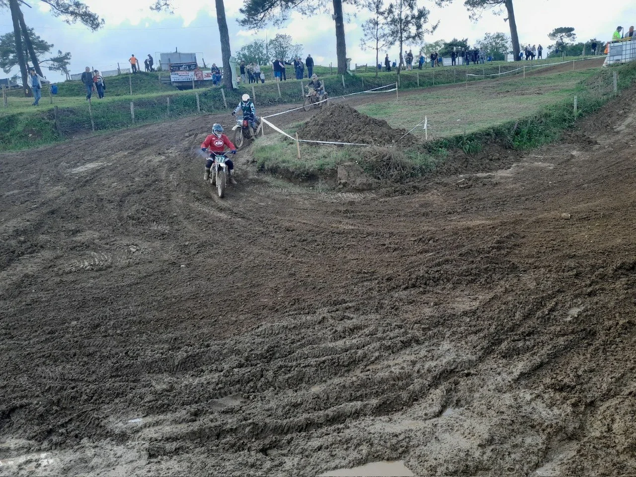 1000002370_415.webp