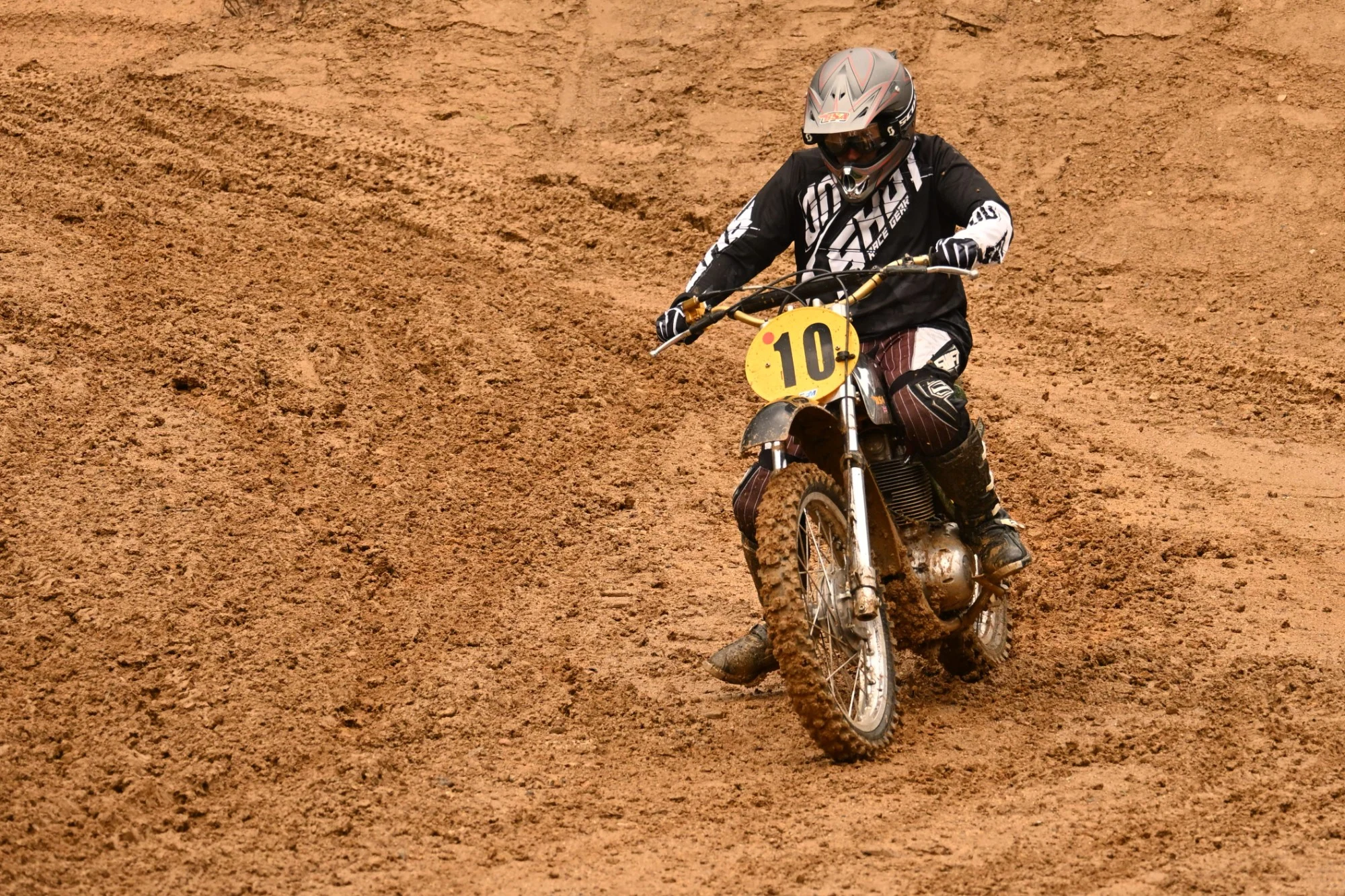 DSC_2784_462.webp