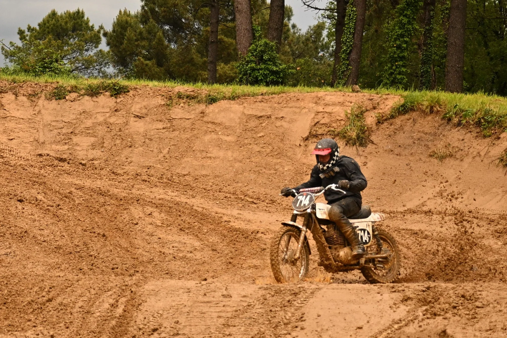 DSC_2786_387.webp