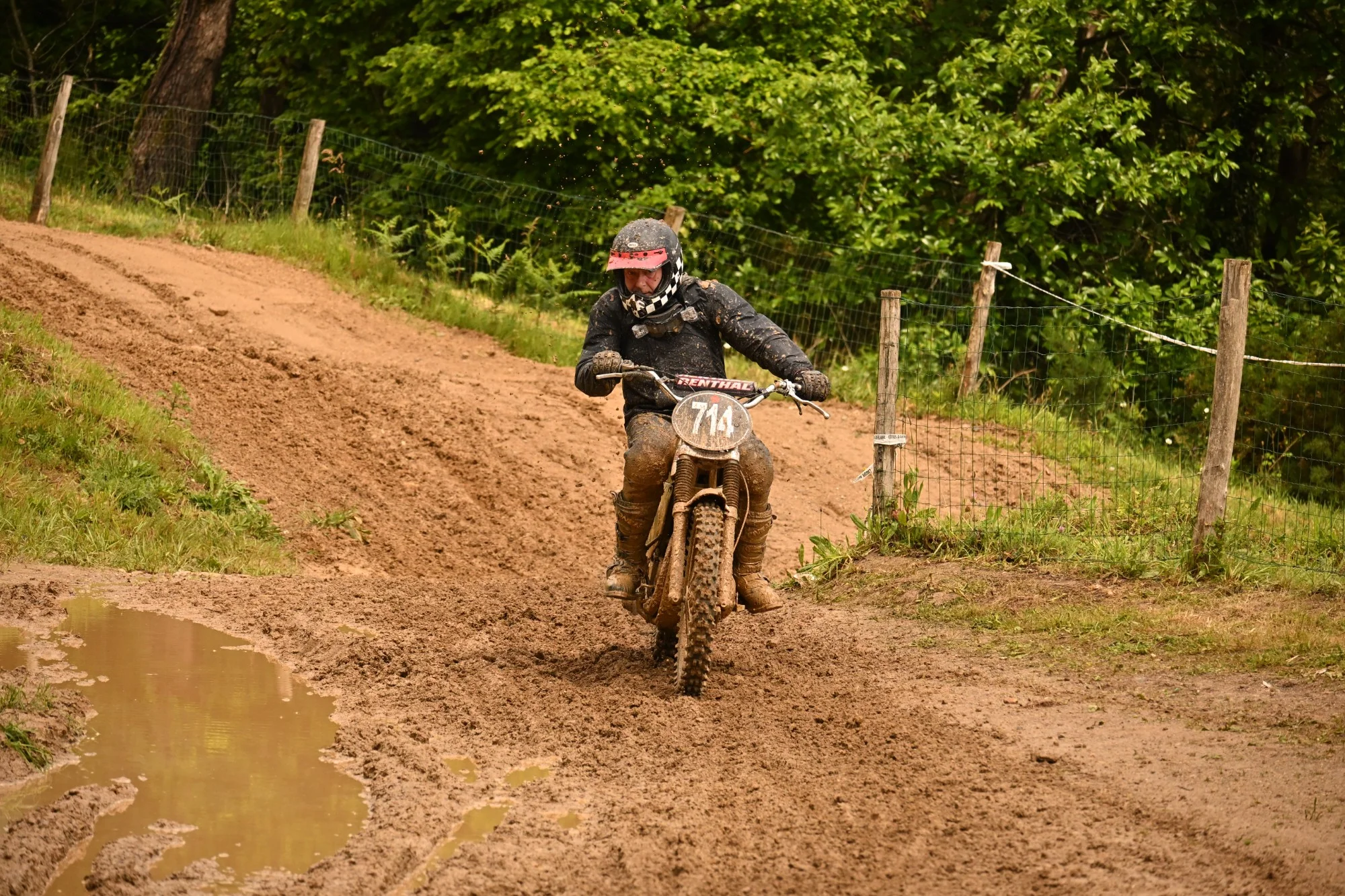 DSC_2801_561.webp