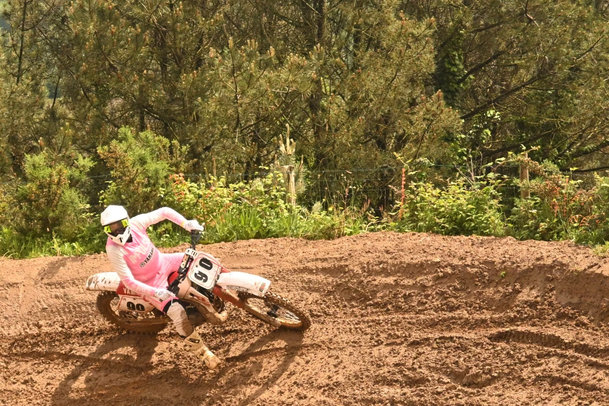 DSC_2811_697.webp
