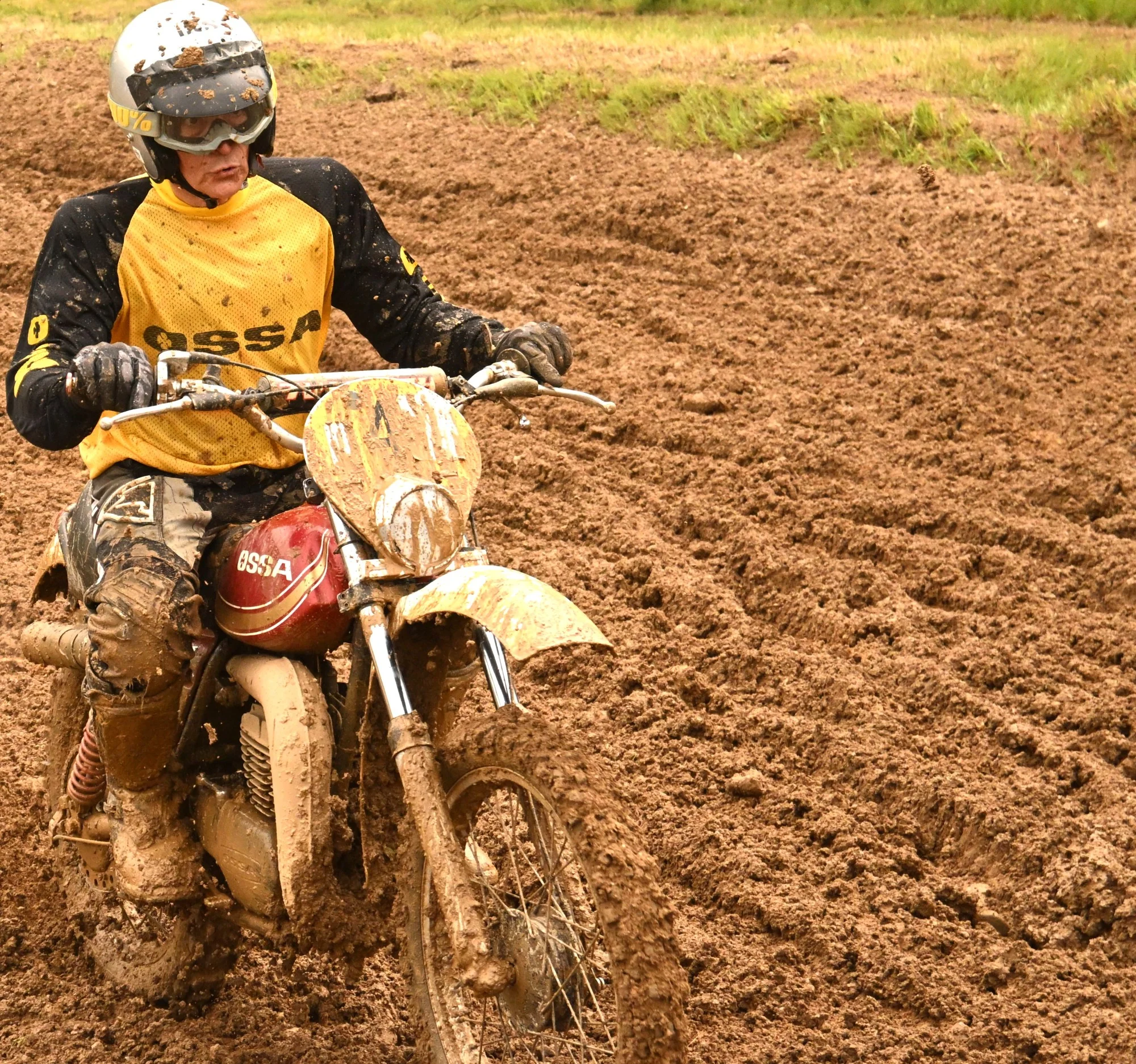 DSC_2899_659.webp