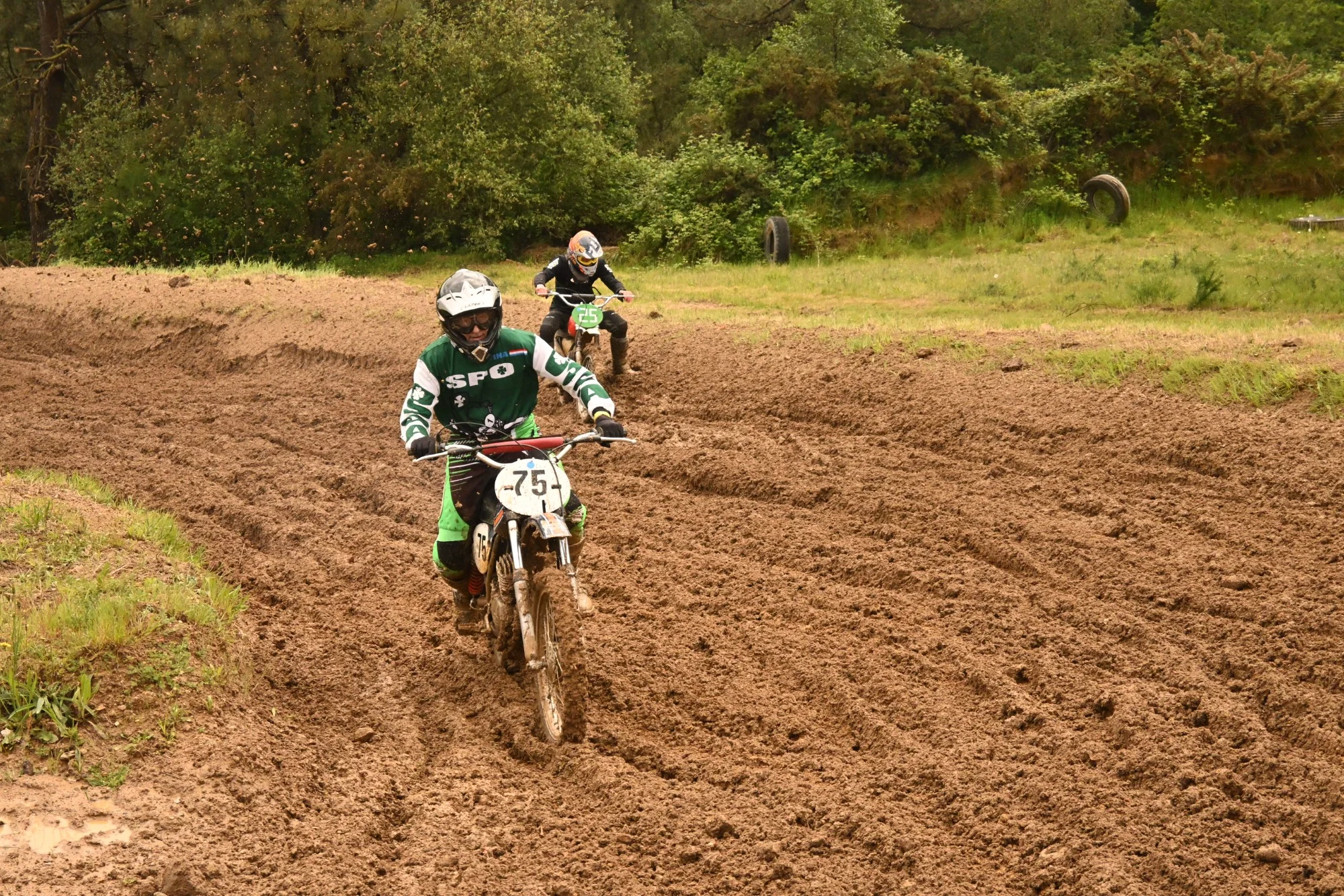 DSC_2900_247.webp