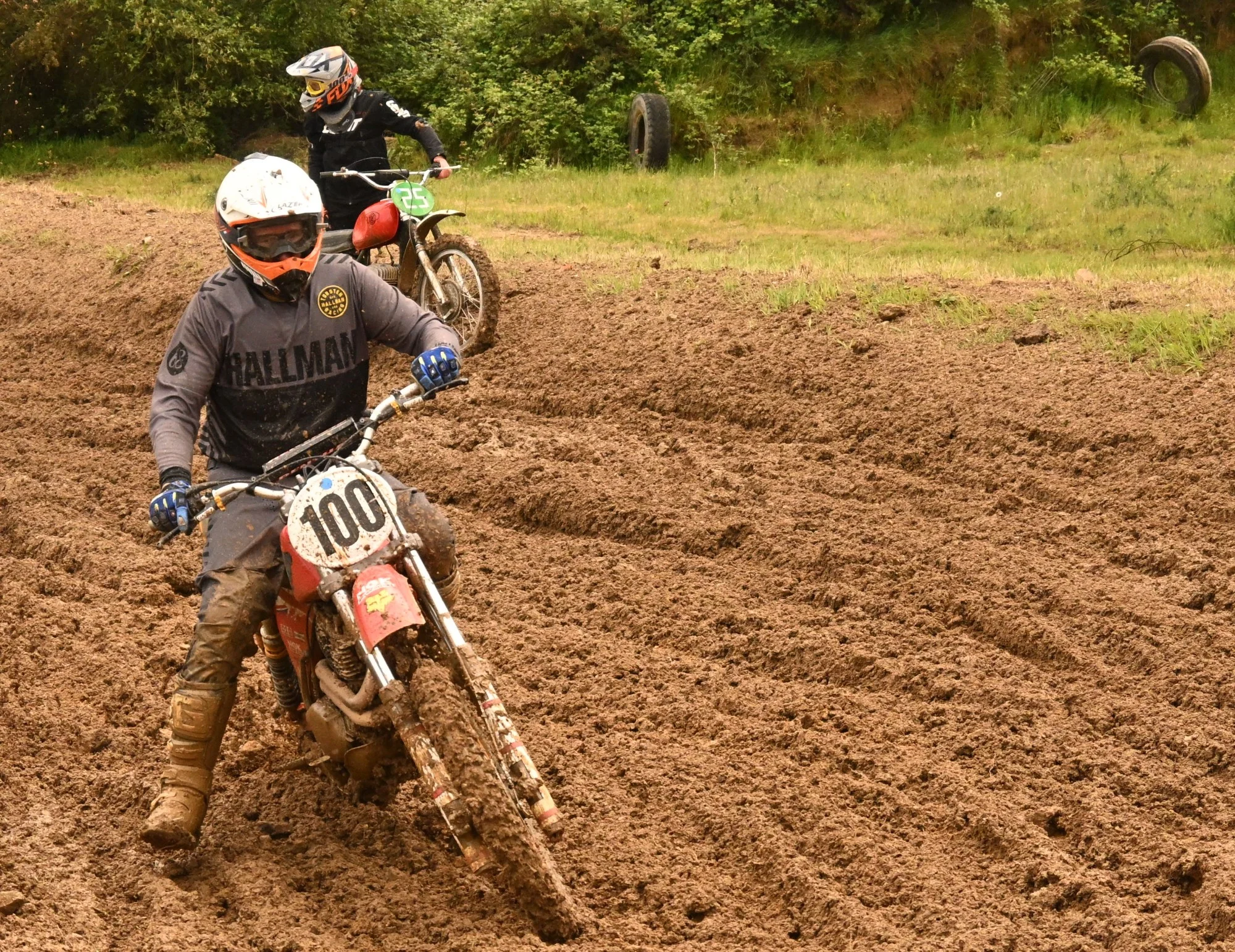 DSC_2902_869.webp
