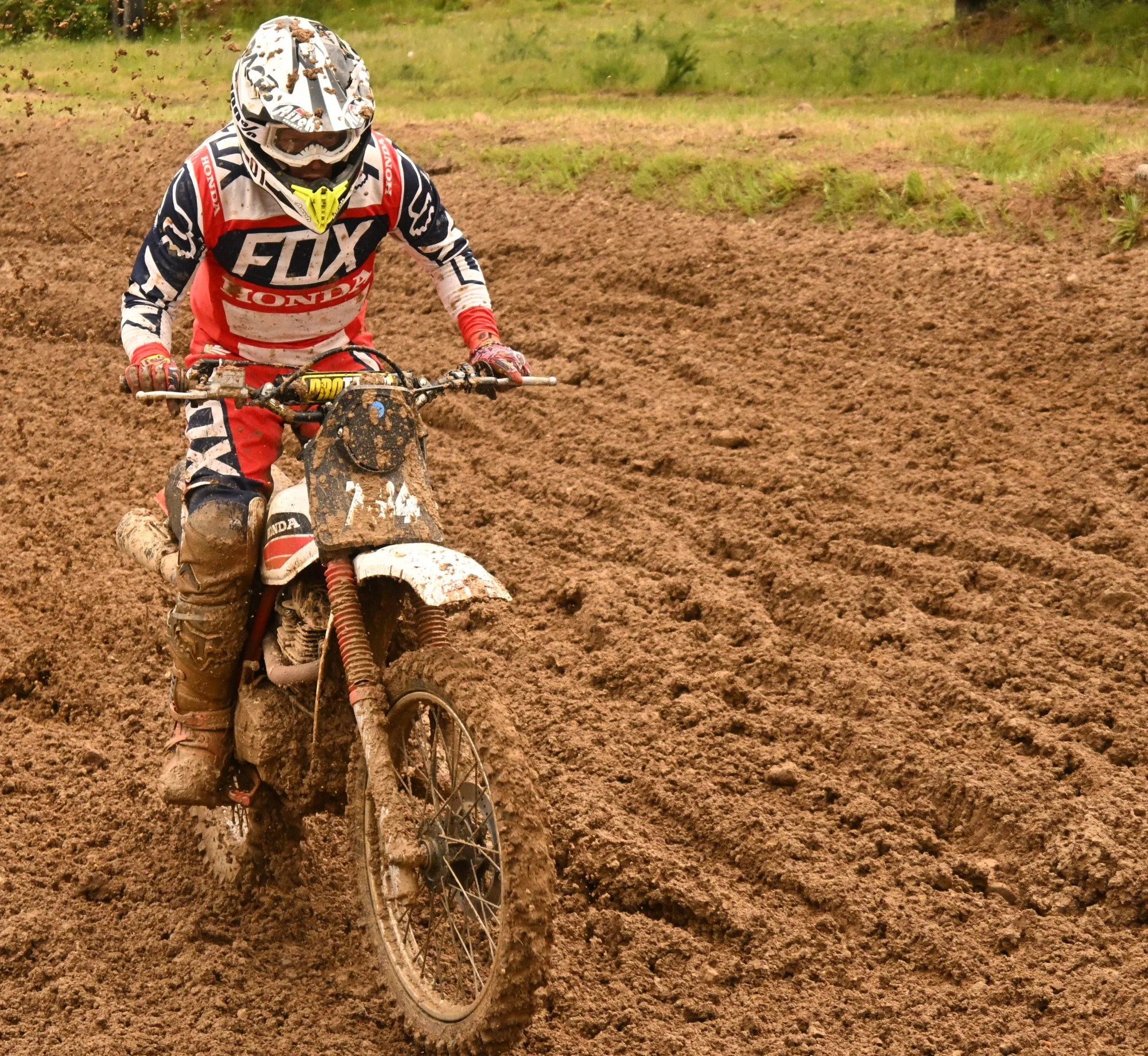 DSC_2909_654.webp