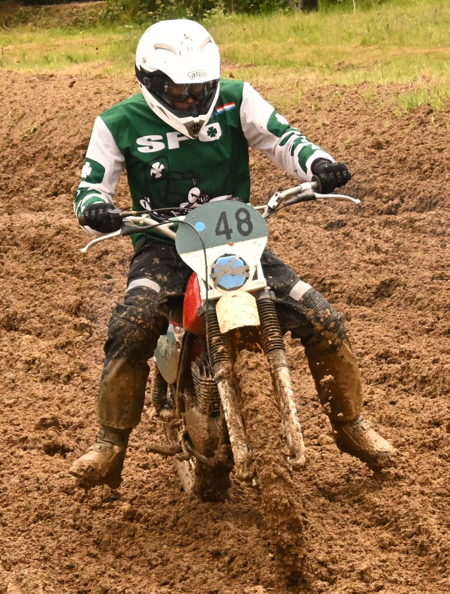 DSC_2912_674.webp