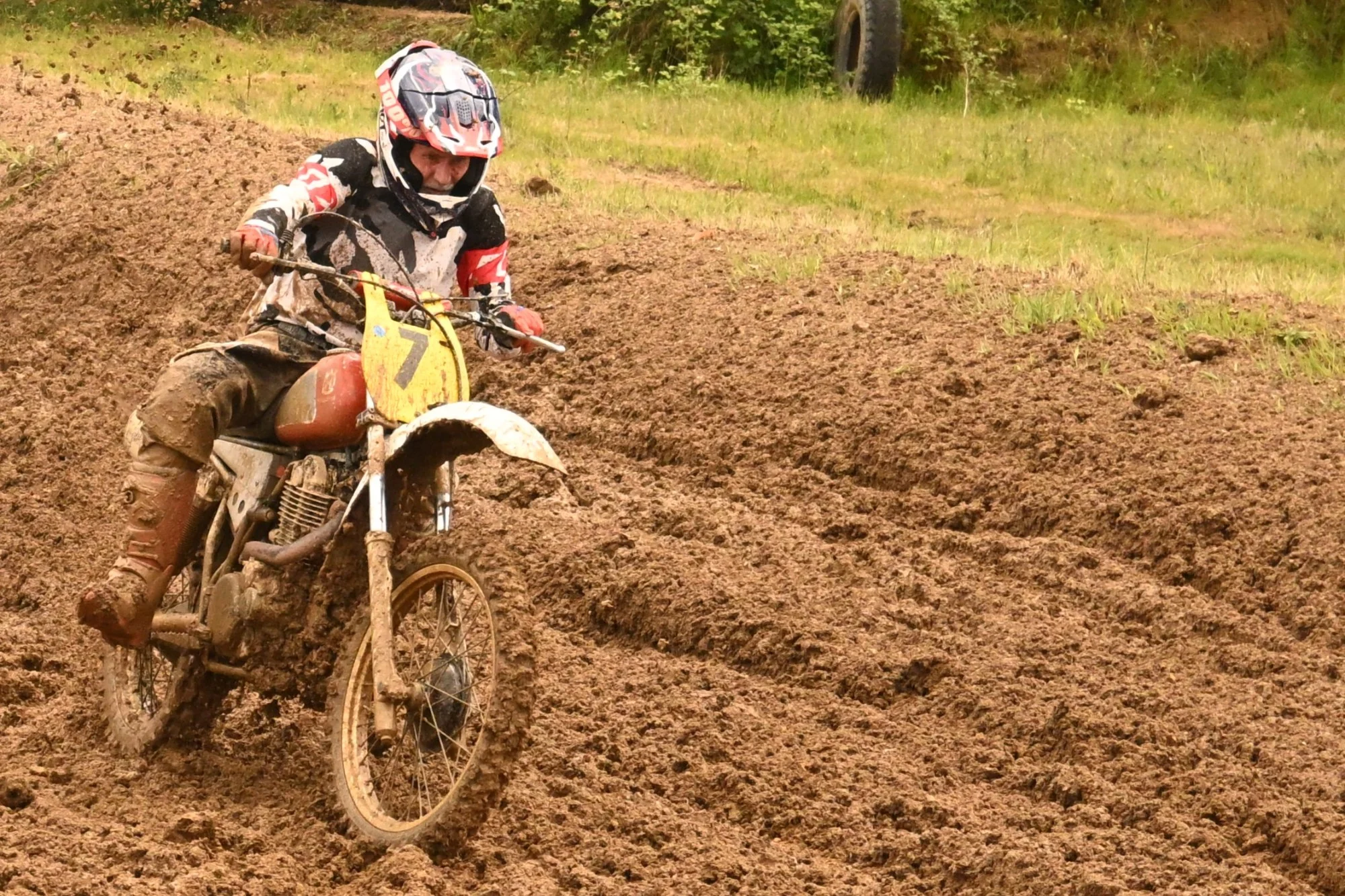 DSC_2914_807.webp