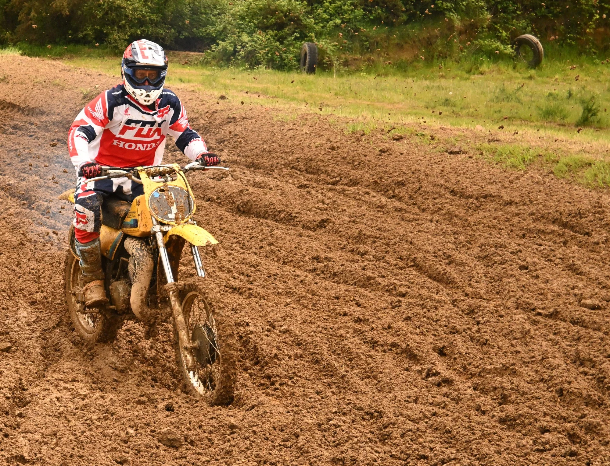 DSC_2916_779.webp