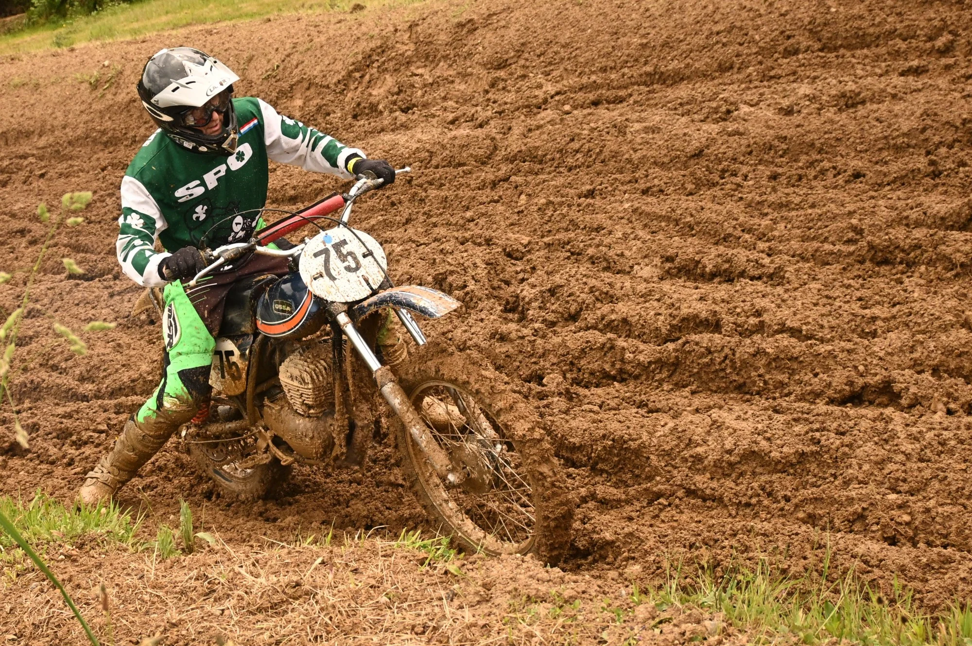 DSC_2936_987.webp
