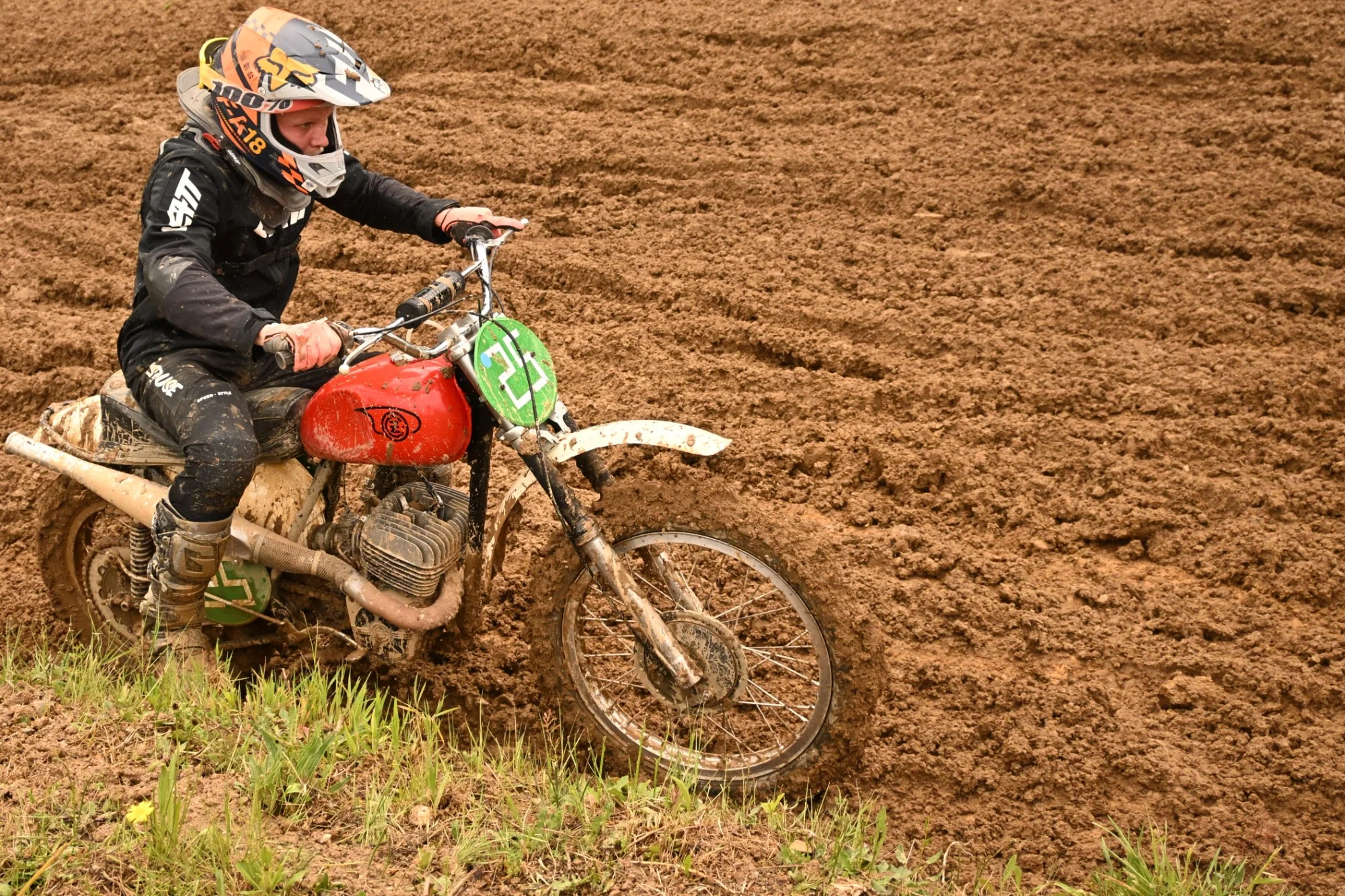 DSC_2941_586.webp