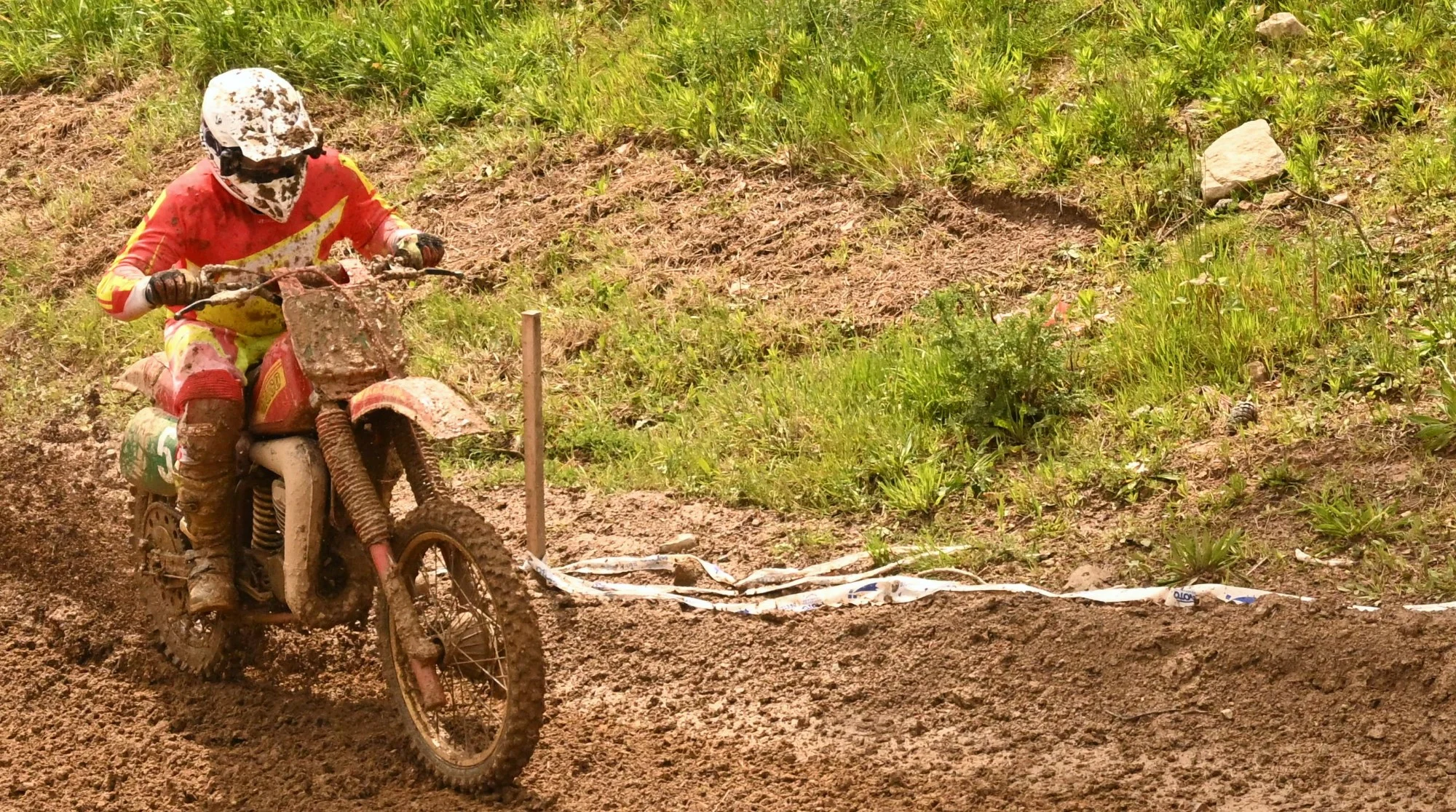 DSC_2993_768.webp