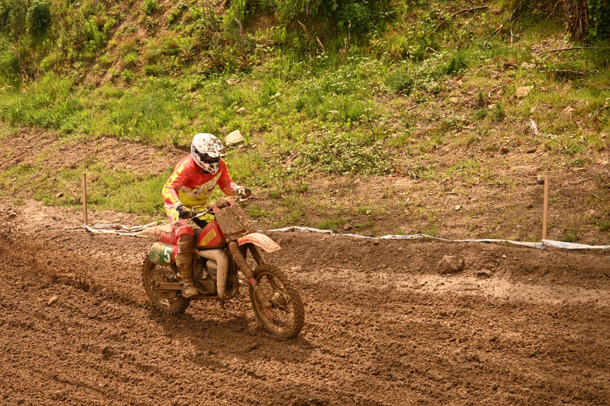DSC_2994_472.webp