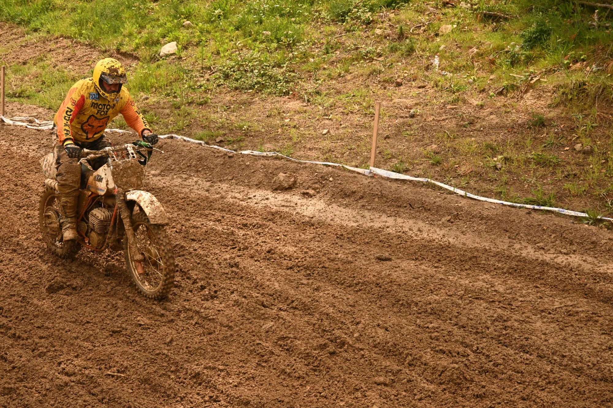DSC_2995_456.webp