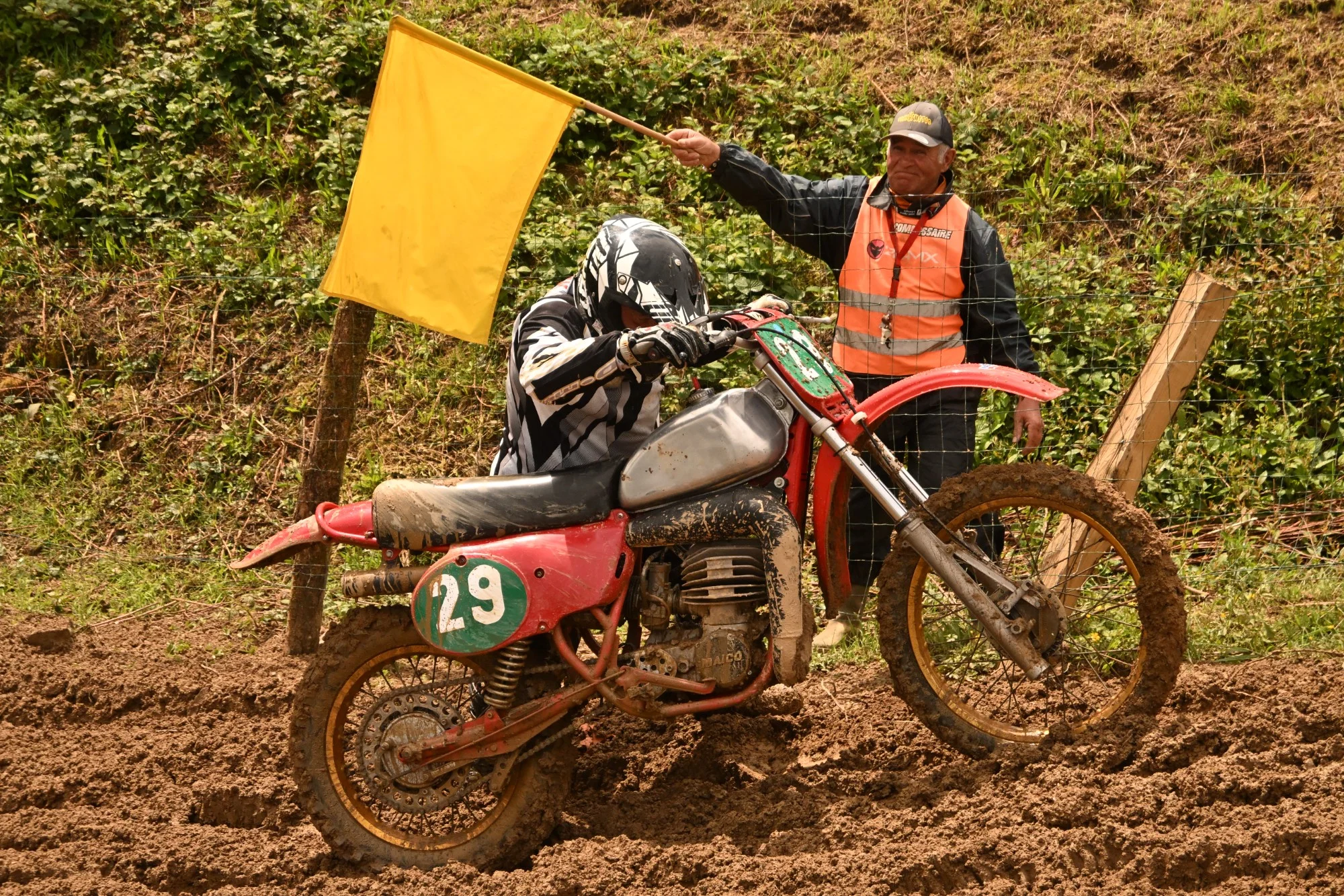 DSC_3000_517.webp