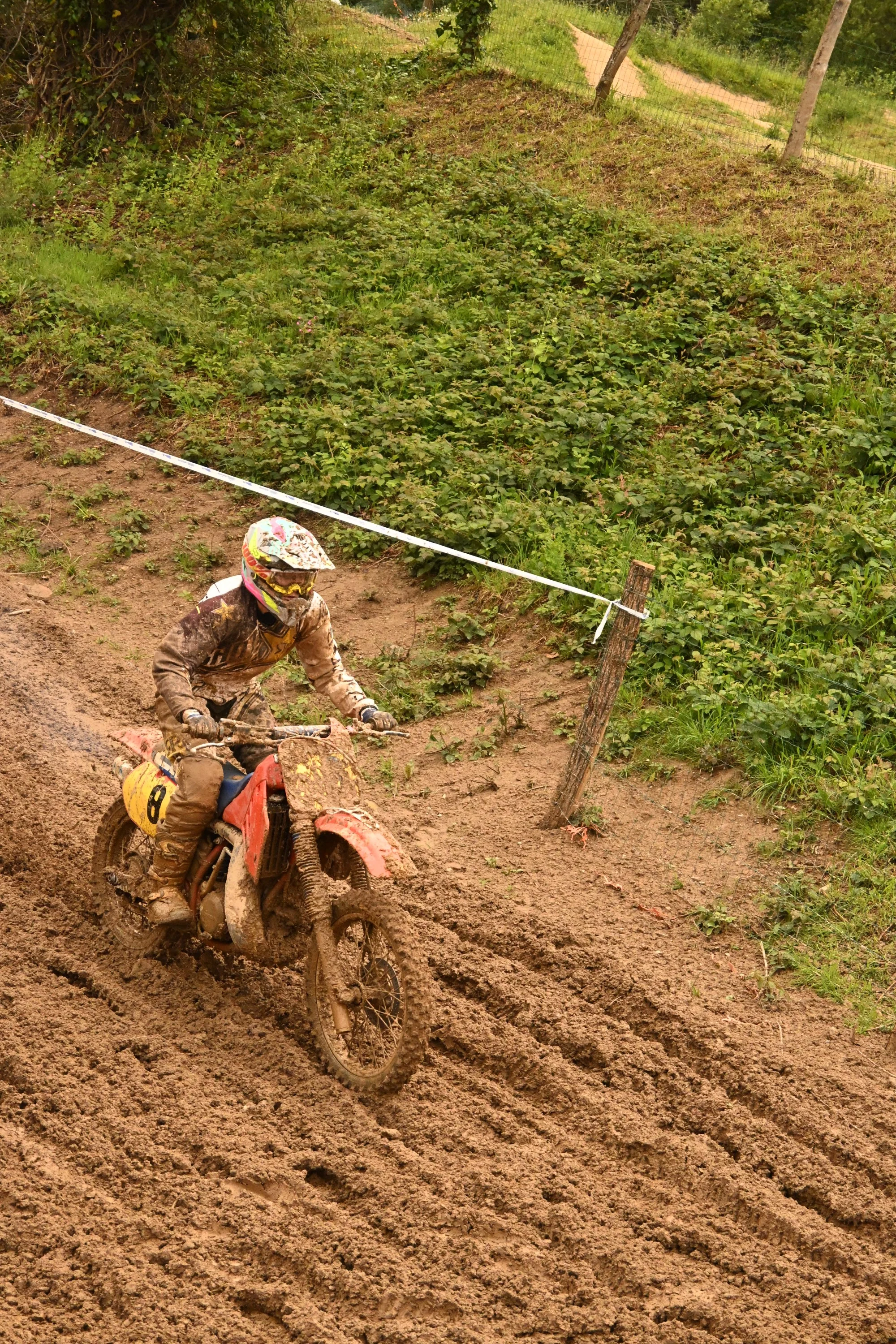 DSC_3008_427.webp