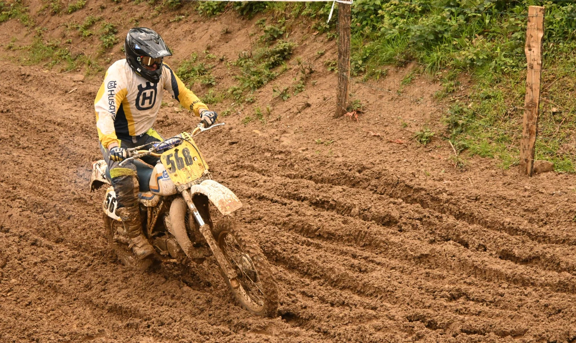 DSC_3010_137.webp