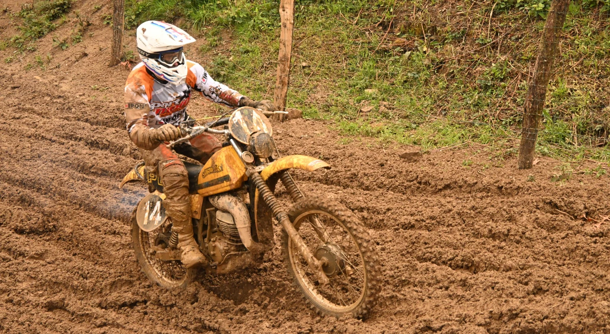 DSC_3014_567.webp