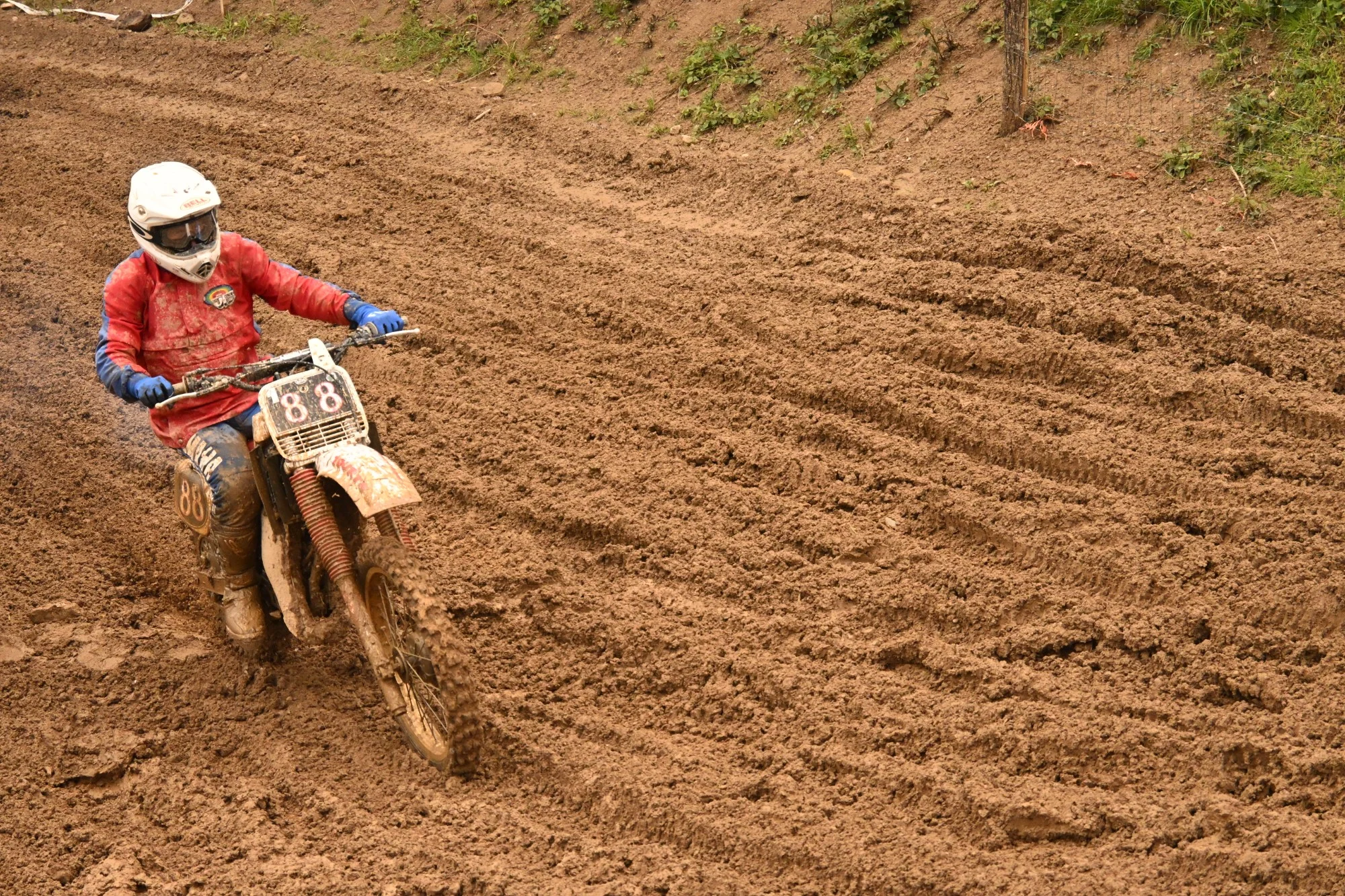 DSC_3015_677.webp