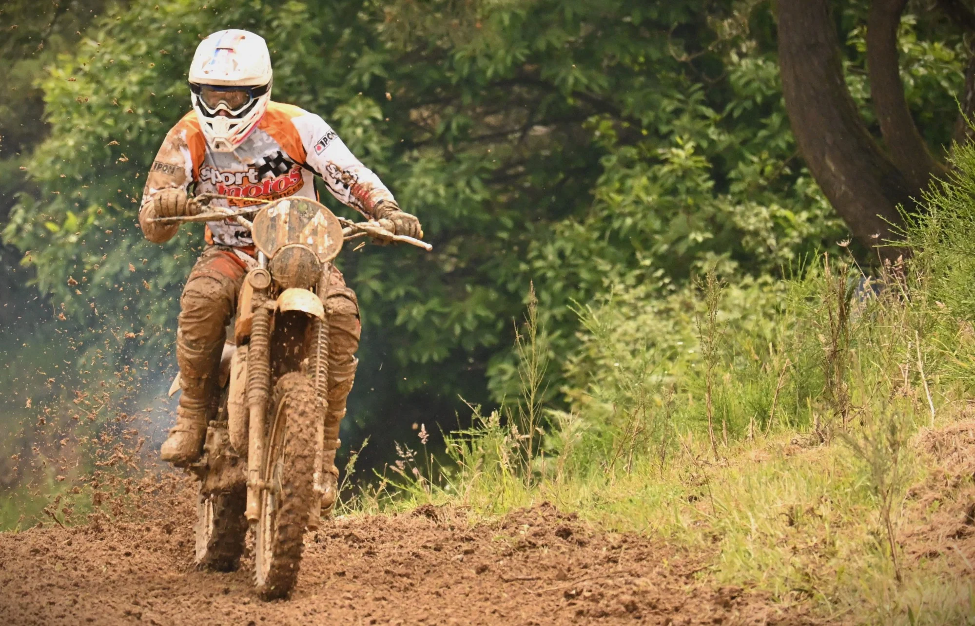 DSC_3043_780.webp