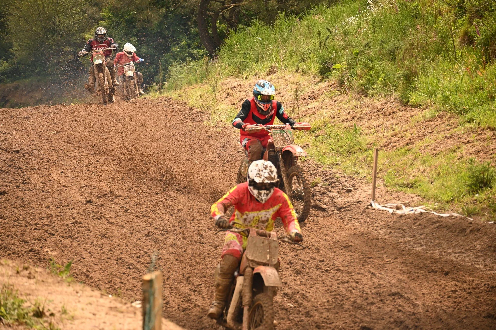 DSC_3058_392.webp