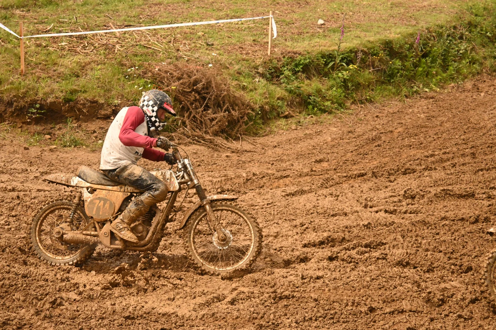 DSC_3097_857.webp