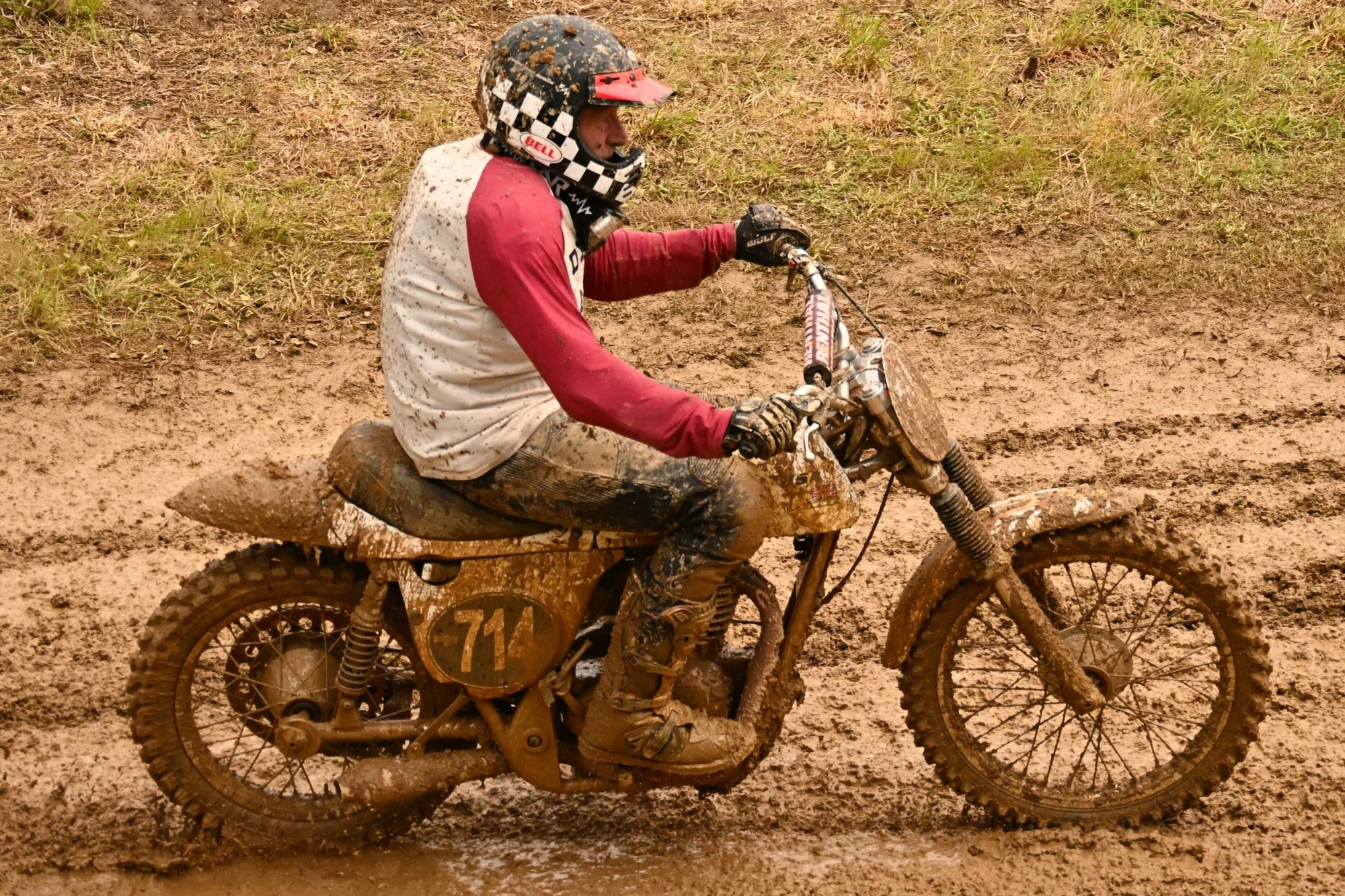 DSC_3111_434.webp
