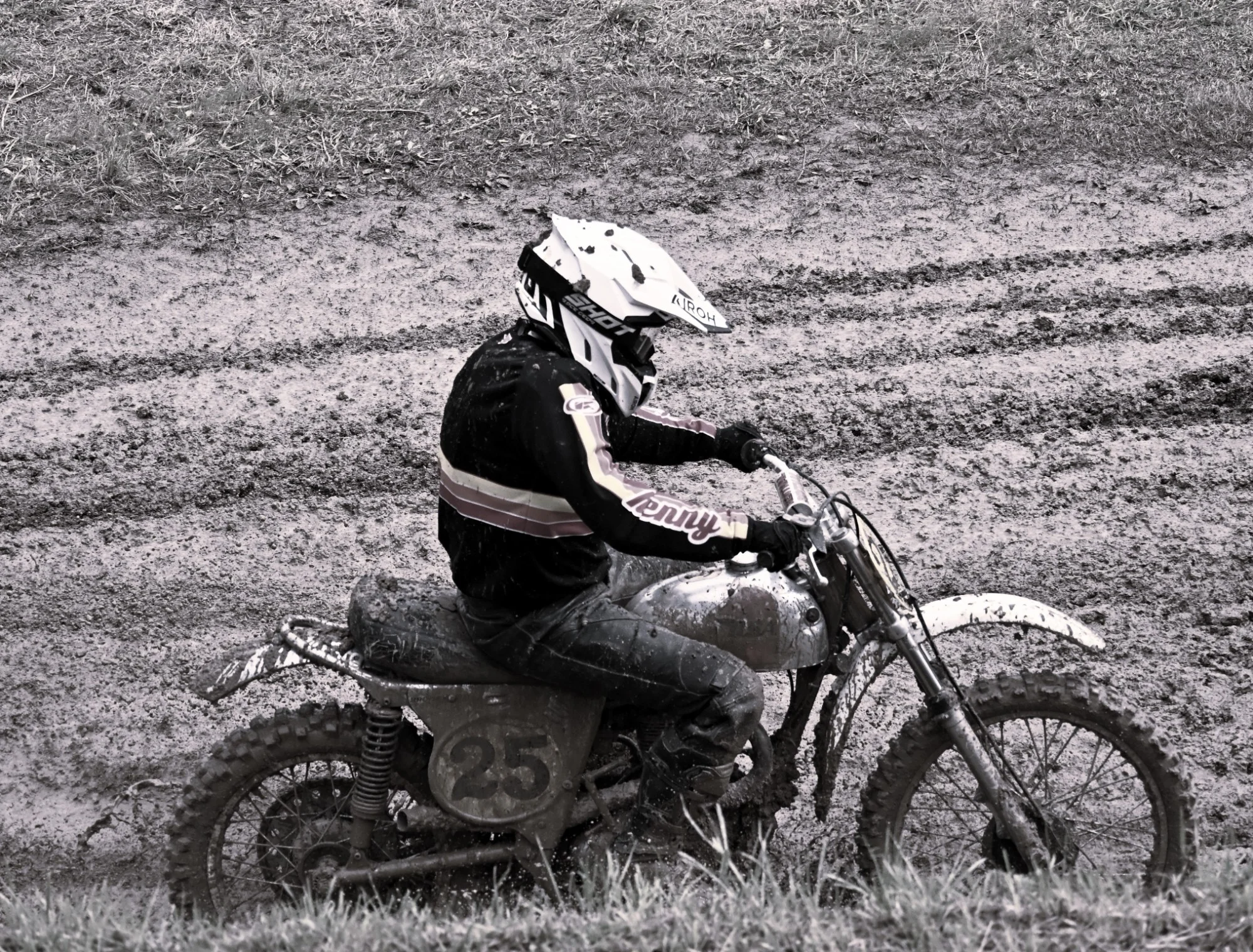 DSC_3114_559.webp