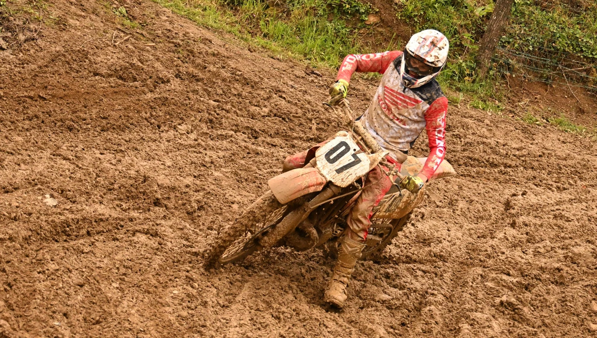 DSC_3124_528.webp
