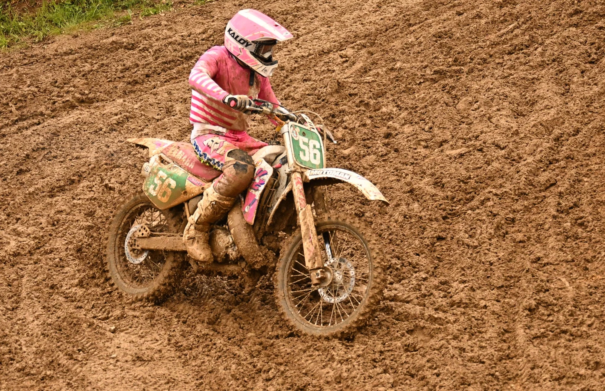 DSC_3131_934.webp