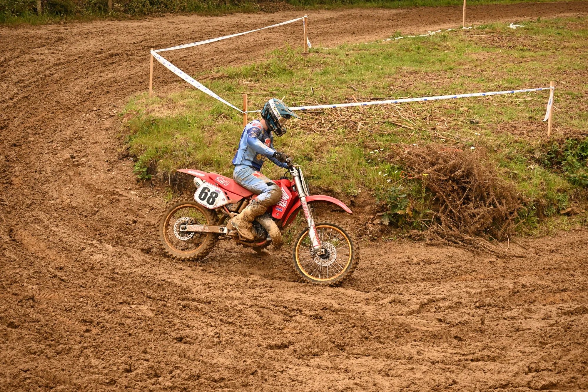 DSC_3135_972.webp
