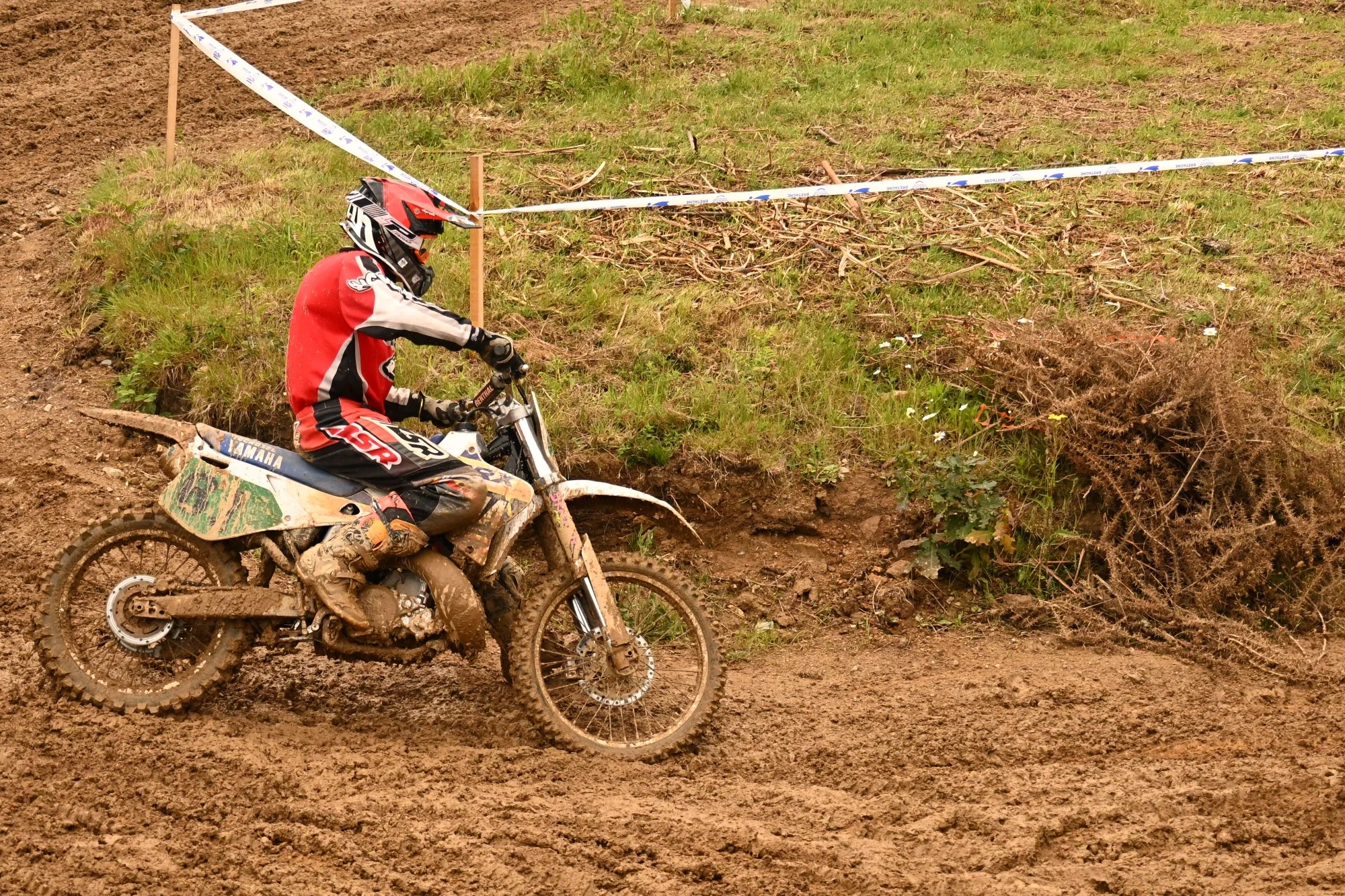 DSC_3136_764.webp